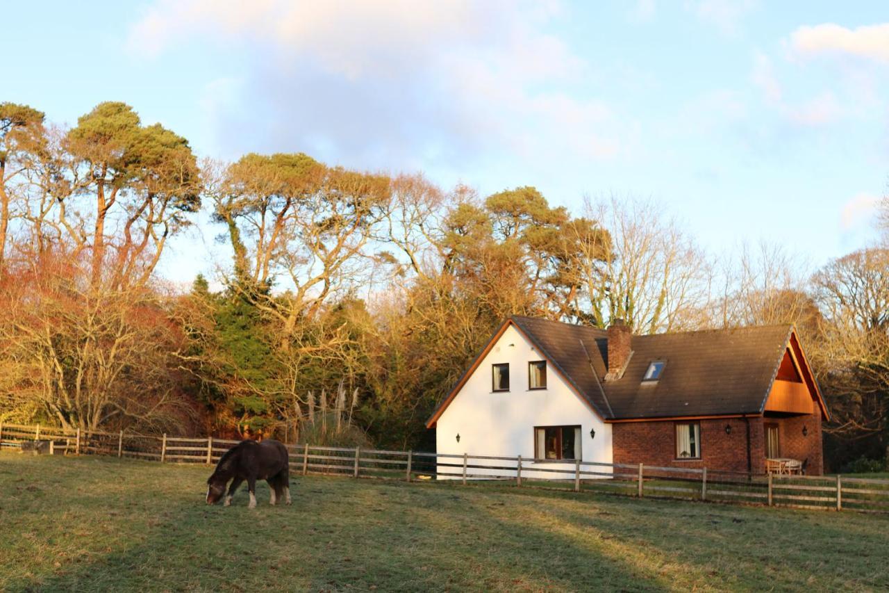 Plas Dolau Country Estate Aberystwyth Ngoại thất bức ảnh