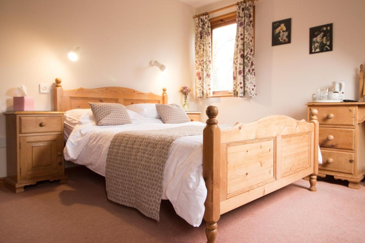 Plas Dolau Country Estate Aberystwyth Ngoại thất bức ảnh